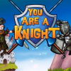 You are a knight