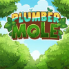 Plumber mole