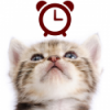 Cats Analog-Clocks Widget