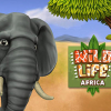 Pet world: Wildlife Africa