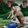Ultimate elephant rampage 3D