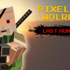 Pixel Z world: Last hunter