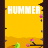 Hummer: The humming bird