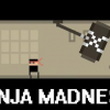 Ninja madness