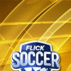 Flick soccer 15