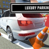 Luxury parking