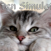 Kitten simulator