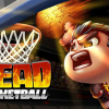 Head basketball