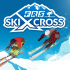 FRS Ski cross