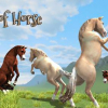Clan of horse