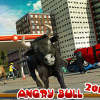 Angry bull 2017