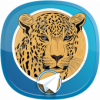 چیتاگرام (تلگرام ضد فیلتر)
