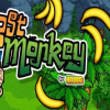 Lost Monkey