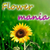 Flower mania