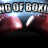 King of boxing 3D