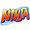 Ninja: Hero of the Village