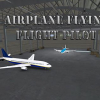 Airplane flying flight pilot