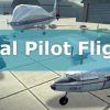 Real pilot flight simulator 3D