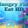 Hungry fish eat HD