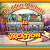 Hidden objects: Florida to New York vacation