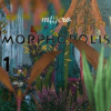 Morphopolis