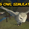 Flying owl simulator 3D