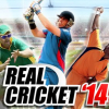 Real cricket \’14