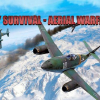 Sky survival: Aerial warfare