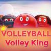 Volleyball: Volley king