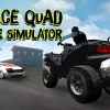 Police quad chase simulator 3D