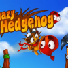 Crazy Hedgehog