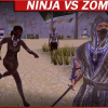 Ninja vs zombies
