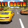 Rally racer 3D