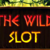 The wild slot