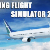 Boeing flight simulator 2014