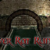 Sewer Rat Run