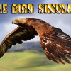 Eagle bird simulator