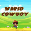 Mario cowboy