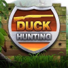 Duck hunting 3D