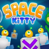 Space kitty: Puzzle