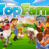 Top farm