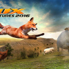 Wild fox adventures 2016