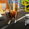 Street cat sim 2016