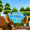 Easter bunny run