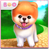 Boo – The World’s Cutest Dog