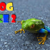 Frog race 2