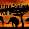 Savanna safari craft: Animals