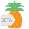 Pineapple – Icon Pack